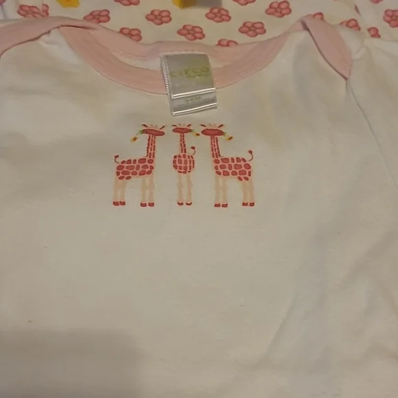 Large Lot of Girl Onesie's 3-6M - Picture 6 of 7